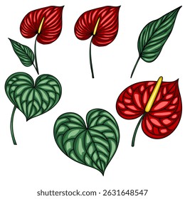 Ilustração vetorial de flores vermelhas vibrantes de antúrio e folhas em forma de coração, meticulosamente detalhadas com padrões de veia intrincados, perfeito para projetos com temática tropical.