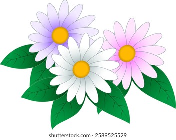 Vector illustration of vibrantly blooming colorful daisy flowers