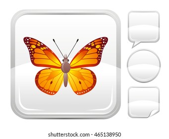 Vector illustration of viceroy butterfly insect. Blank button form set - square, speaking bubble, circle, sticker.
