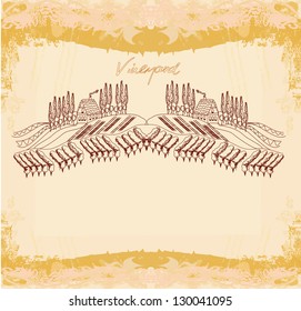  Vector illustration of vineyard