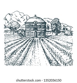 Vector illustration of vineyard. Hand sketch of villa, homestead in fields and hills. Drawn mediterranean landscape for label, poster etc.