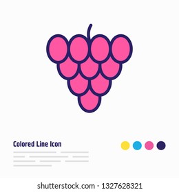 Vector illustration of vineyard icon colored line. Beautiful meal element also can be used as grape icon element.