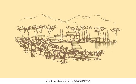 Vector illustration. Vineyard landscape with a villa. Wine label design.