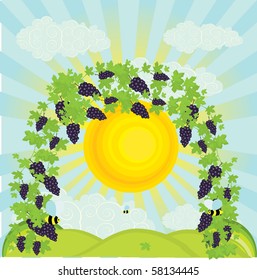Vector illustration of a vineyard in the springtime