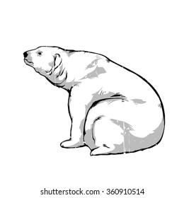 Vector illustration - Vintage arctic white polar bear 