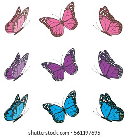 vector illustration of vintage butterflies