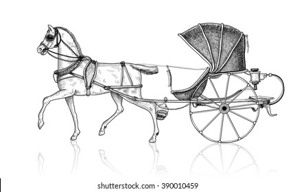 Vector illustration of vintage coach on white background. Horse carriage. Team of horses.