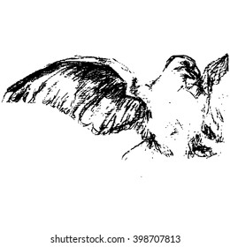 Vector illustration with vintage eagle graphic.
Freehand sketch of eagle. Hand drawn on white background.
