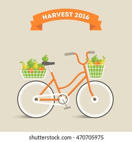 Vector illustration in vintage flat design. Autumn harvest of juicy fresh apples and pears that are delivered in bicycle baskets