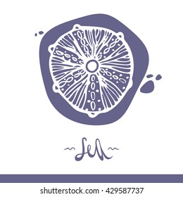Vector illustration. Vintage hand drawn elements in nautical style. Perfect as background for greeting cards, business cards, covers, and more. Vector Illustration.