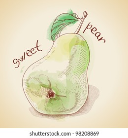 Vector illustration of vintage pear
