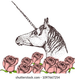 Vector illustration of a vintage rose and unicorn