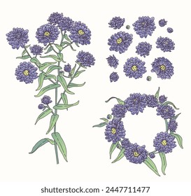 vector illustration vintage set of medium purple gradient asters