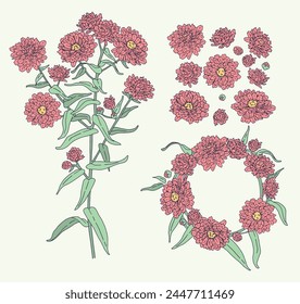 vector illustration vintage set of pink asters