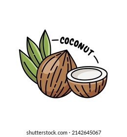 Vector illustration of a vintage style coconut with outline, perfect for a coconut product icon or label.