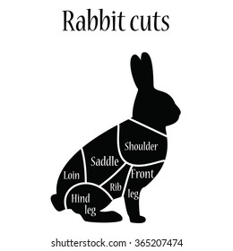Vector illustration vintage typographic rabbit butcher cuts diagram. Rabbit black silhouette. Butcher chart.