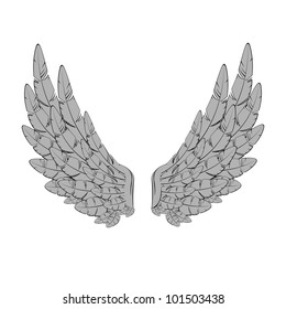 Vector illustration of vintage wings