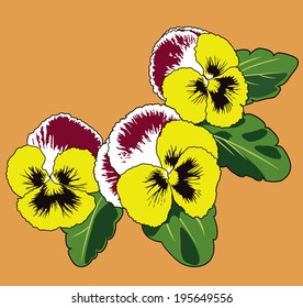 Vector illustration of Viola tricolor flower