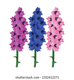 Vector illustration of violet blue and pink delphinium  flowers with green leafs on white background.