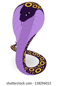 vector illustration of the violet cobra