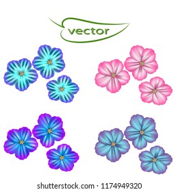 Vector illustration of violet flowers as a bright decorative element