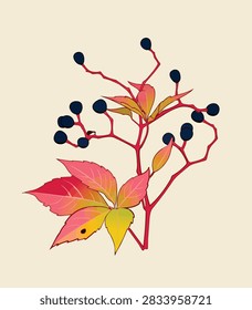 A vector illustration of a Virginia creeper branch with bright red autumn leaves and clusters of dark blue berries, isolated on a cream background.
