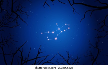 Vector illustration Virgo constellation. Tree branches, dark blue starry sky, cosmos. Constellation scheme Virgo zodiac sign