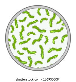 Vector illustration of virus and bacteria on microscope view
