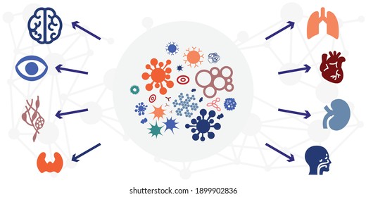 vector illustration for virus influence on different organs in human body