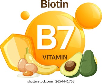 Ilustração vetorial de vitamina B7 biotina com fontes de alimentos como abacate, banana, ovos e queijo em um estilo de design brilhante e plano