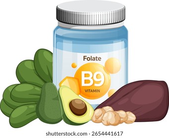 Vector illustration of a vitamin B9 folate supplement jar surrounded by spinach, avocado, beet, and walnuts in a clean flat design style