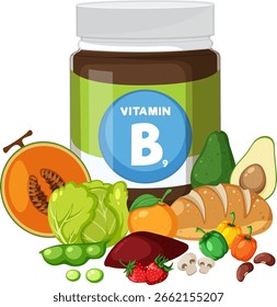Ilustração vetorial de um frasco de suplemento de vitamina B9 rodeado por alimentos ricos em folato em um estilo de design colorido e plano com composição limpa