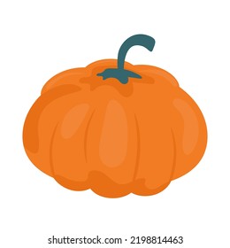 ilustración vectorial de la calabaza vívida