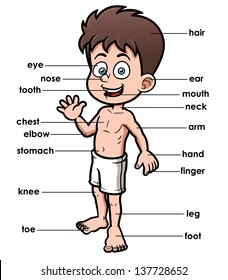 Vector illustration of vocabulary part of body