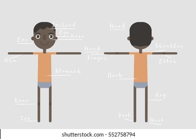 Vector illustration of vocabulary part of body, anatomy for children