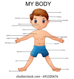 Vector illustration of vocabulary part of body