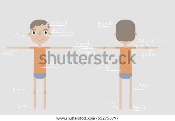 Vector Illustration Vocabulary Part Body Anatomy Stock Vector Royalty Free 552758797