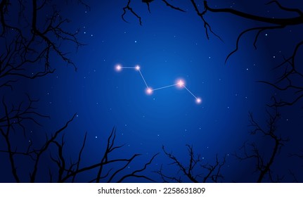 Vector illustration Vulpecula constellation. Tree branches, dark blue starry sky