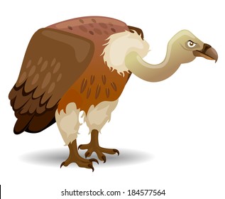 Vector illustration of a Vulture