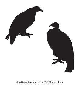 Vector Illustration of Vulture Silhouette