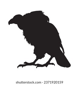 Vector Illustration of Vulture Silhouette