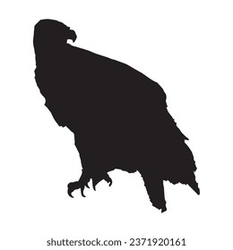 Vector Illustration of Vulture Silhouette