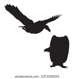 Vector Illustration of Vulture Silhouette