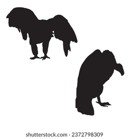 Vector Illustration of Vulture Silhouette