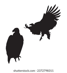 Vector Illustration of Vulture Silhouette