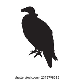 Vector Illustration of Vulture Silhouette