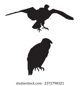 Vector Illustration of Vulture Silhouette