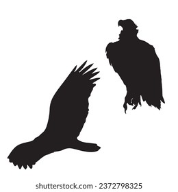 Vector Illustration of Vulture Silhouette