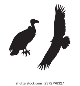 Vector Illustration of Vulture Silhouette