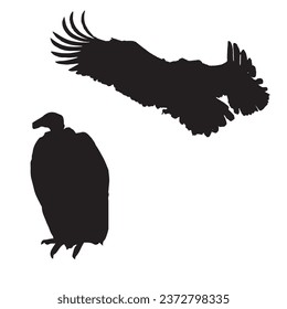 Vector Illustration of Vulture Silhouette